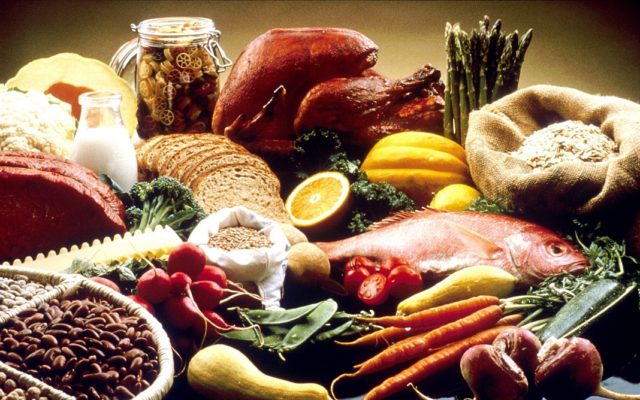 Protein and Fiber Rich Diet