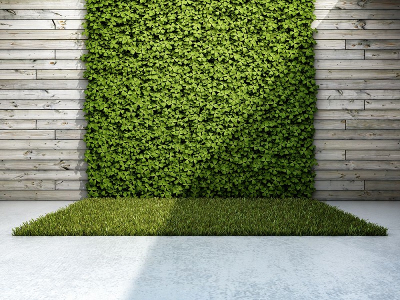 Ideas To Use Synthetic Grass In Your Home Bizzield - Artificial Grass Wall Design Ideas