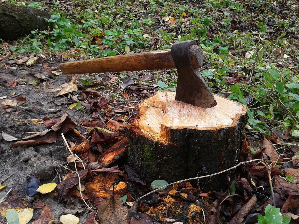 How to Remove Tree Stump without Using Grinder