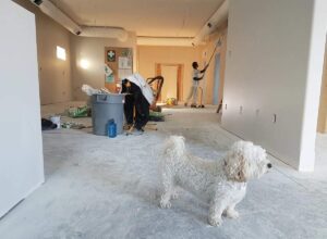 Renovating the Old House - Does it Cost Too much or Just a Myth