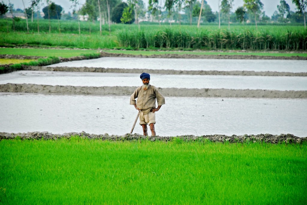 PM Kisan scheme