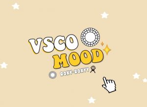 VSCO Account