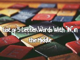 List of 5 Letter Words With IN in the Middle