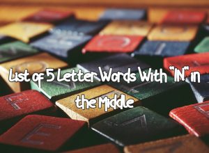 List of 5 Letter Words With IN in the Middle