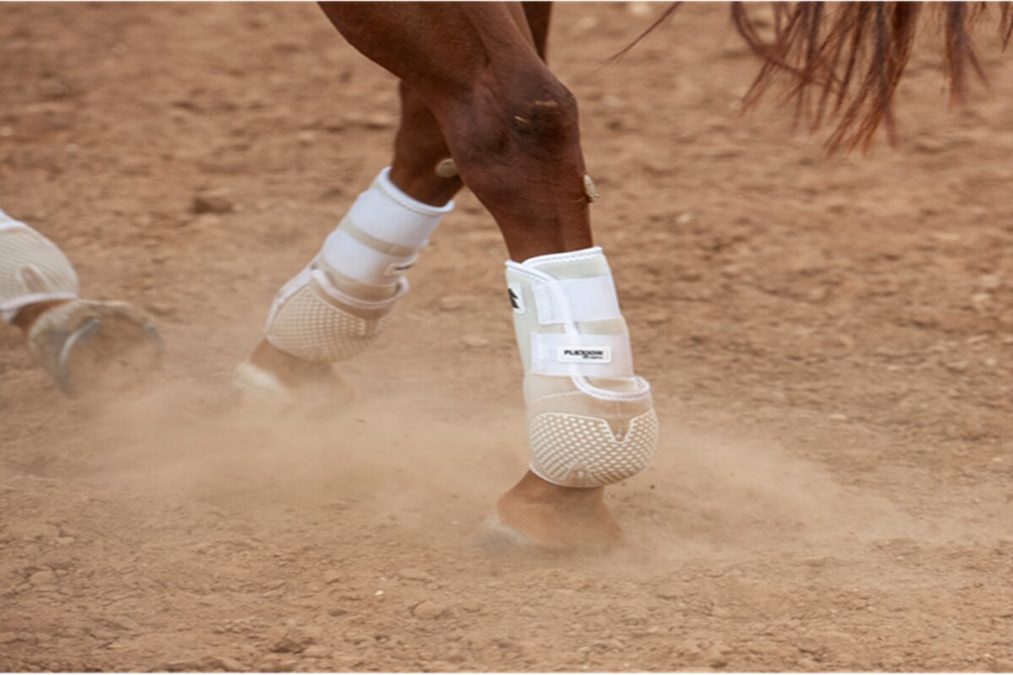 Highlighting The Various Types Of Horse Protection Boots For Sale | Bizzield